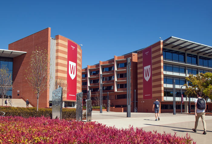 Licenciatura en Artes en la Universidad de Western Sydney 